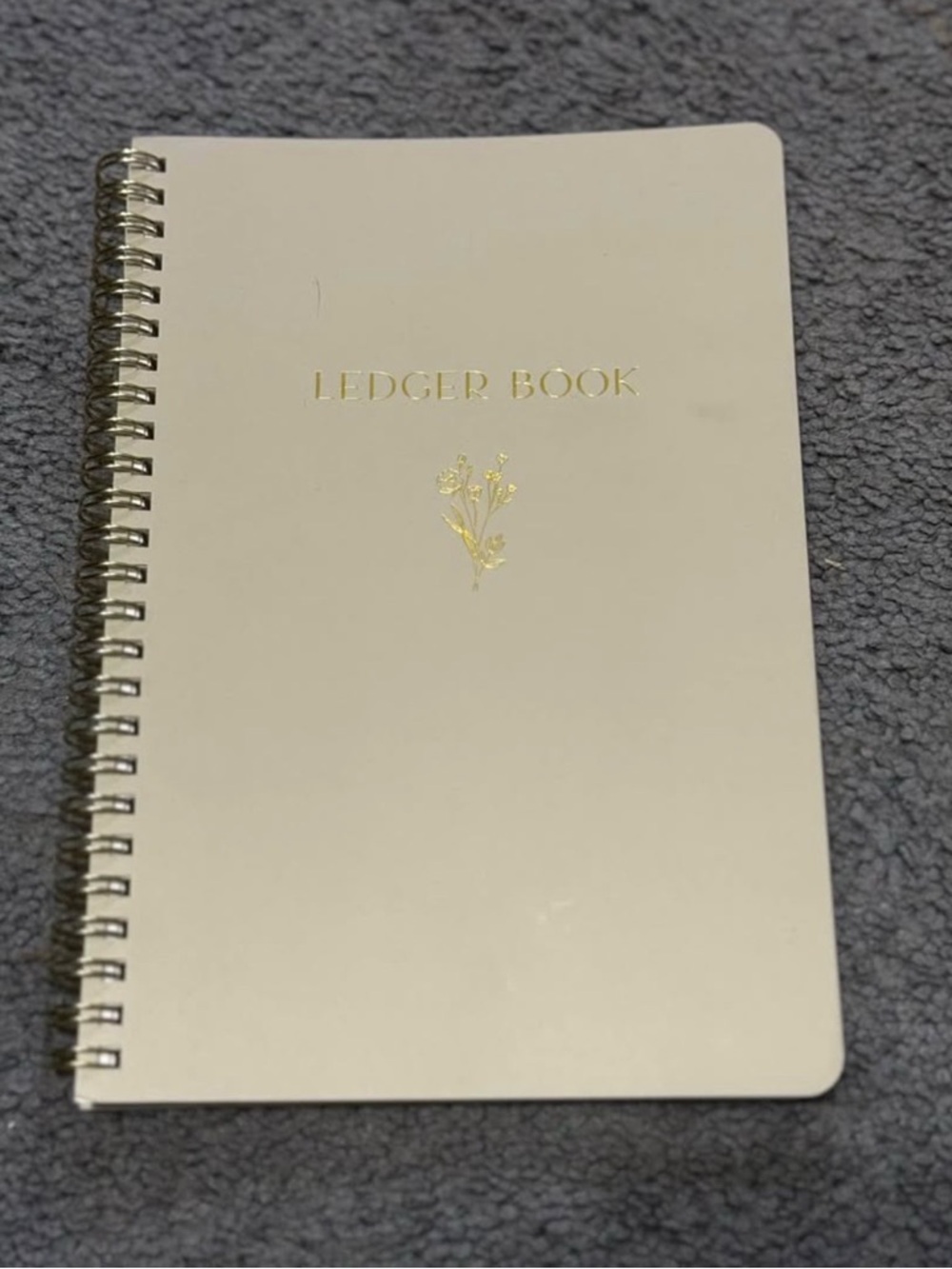 Ledger Book Spiral Notebook in light green with Gold Accent